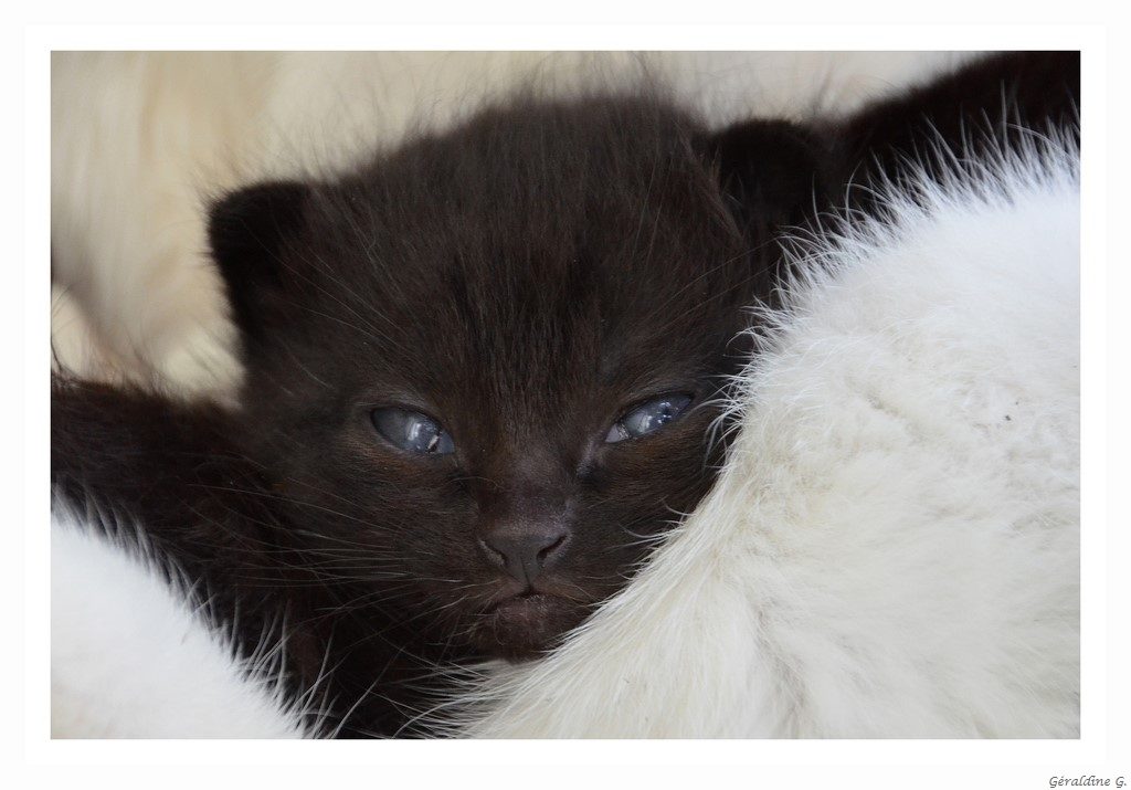 Pour âme sensible !!