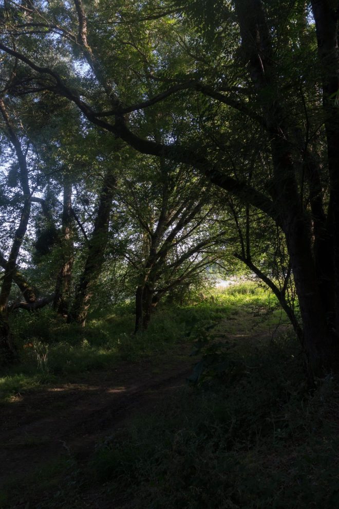 chemin au bord de  l'eau