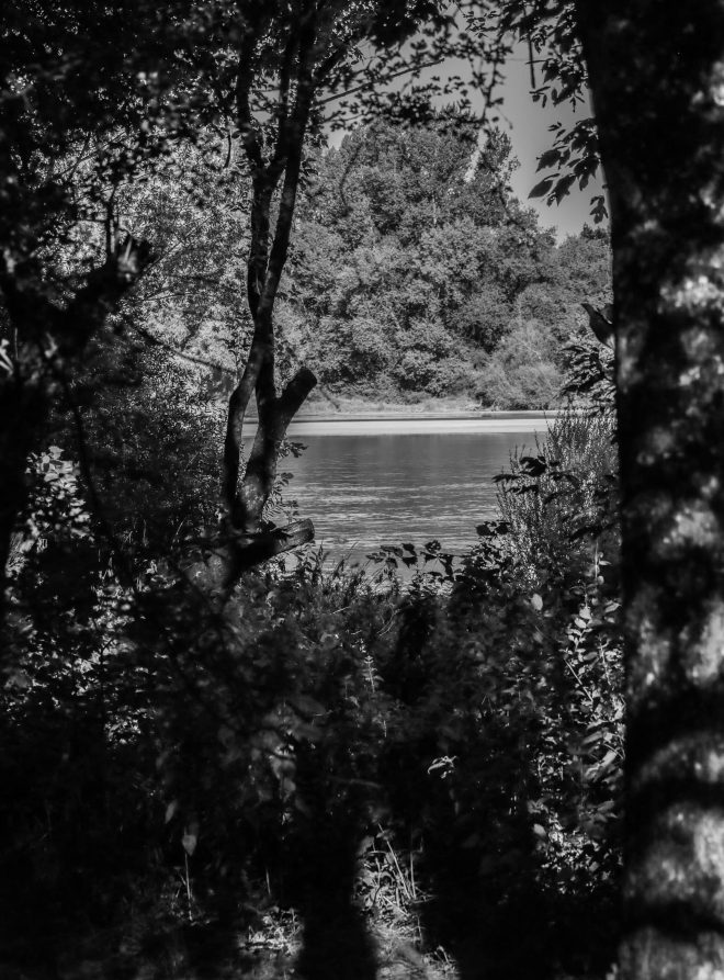 la loire comme l'amazonie