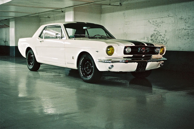 White Mustang