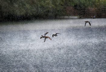 Orage sur l’etang
