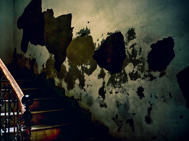 Palette sur mur et escalier