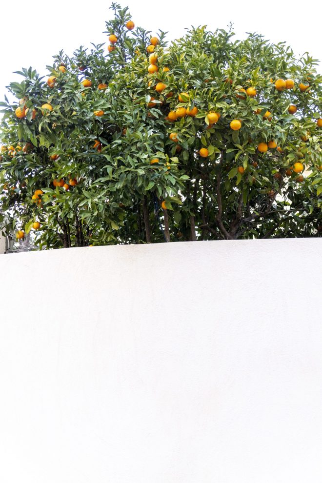 Ceci n'est pas une orange