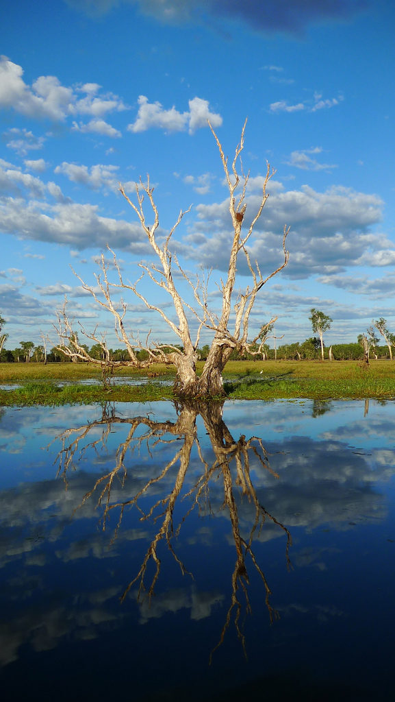 Tryptique – Reflection in Kakadu National Park (1)