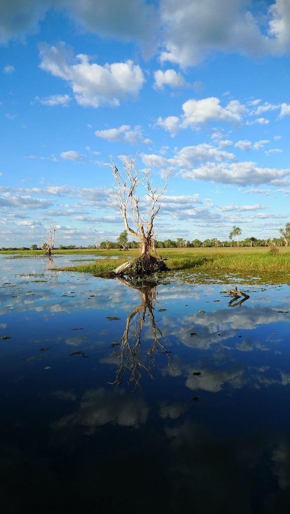 Tryptique – Reflection in Kakadu National Park (2)