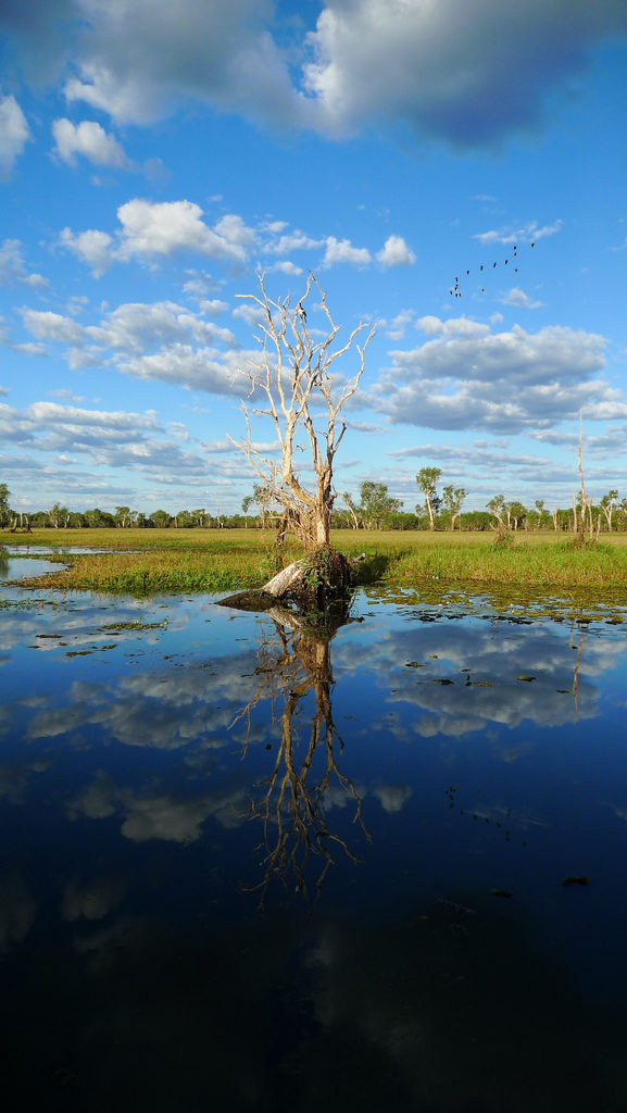 Tryptique – Reflection in Kakadu National Park (3)