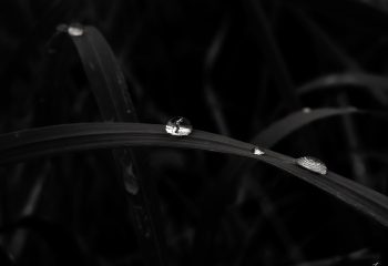 The child in the bubble