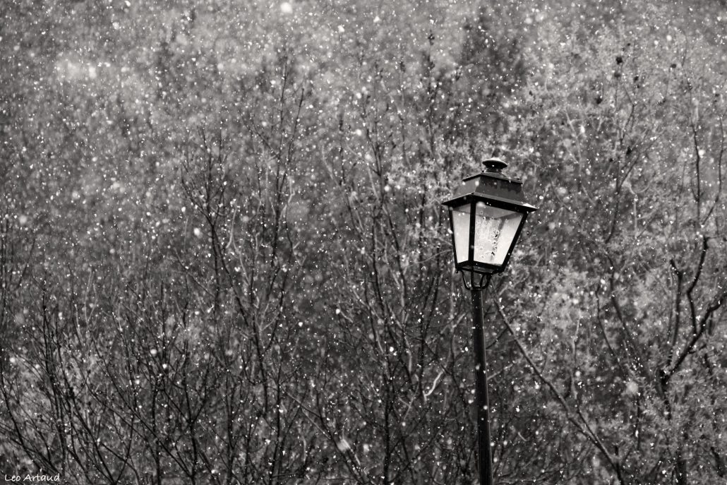 expression: « to have the sad snow ».