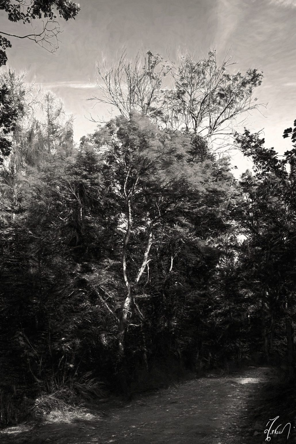 And not the same story…