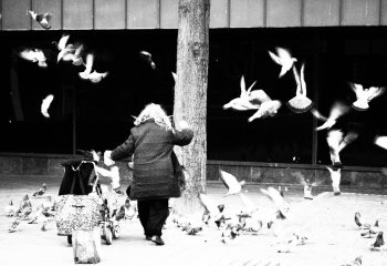La dame aux pigeons
