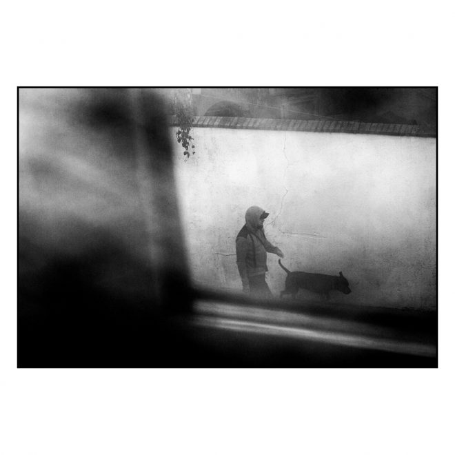 Confinement jour 36-vue de ma fenêtre