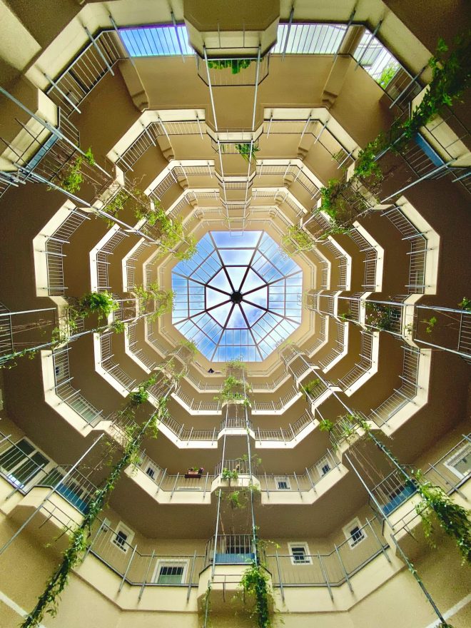 Lookup vegetal en couleur
