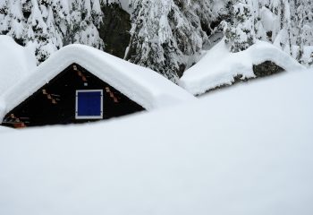 cabane cachée