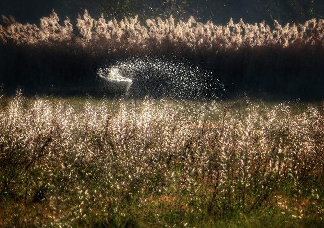 Tourbillon fantôme…