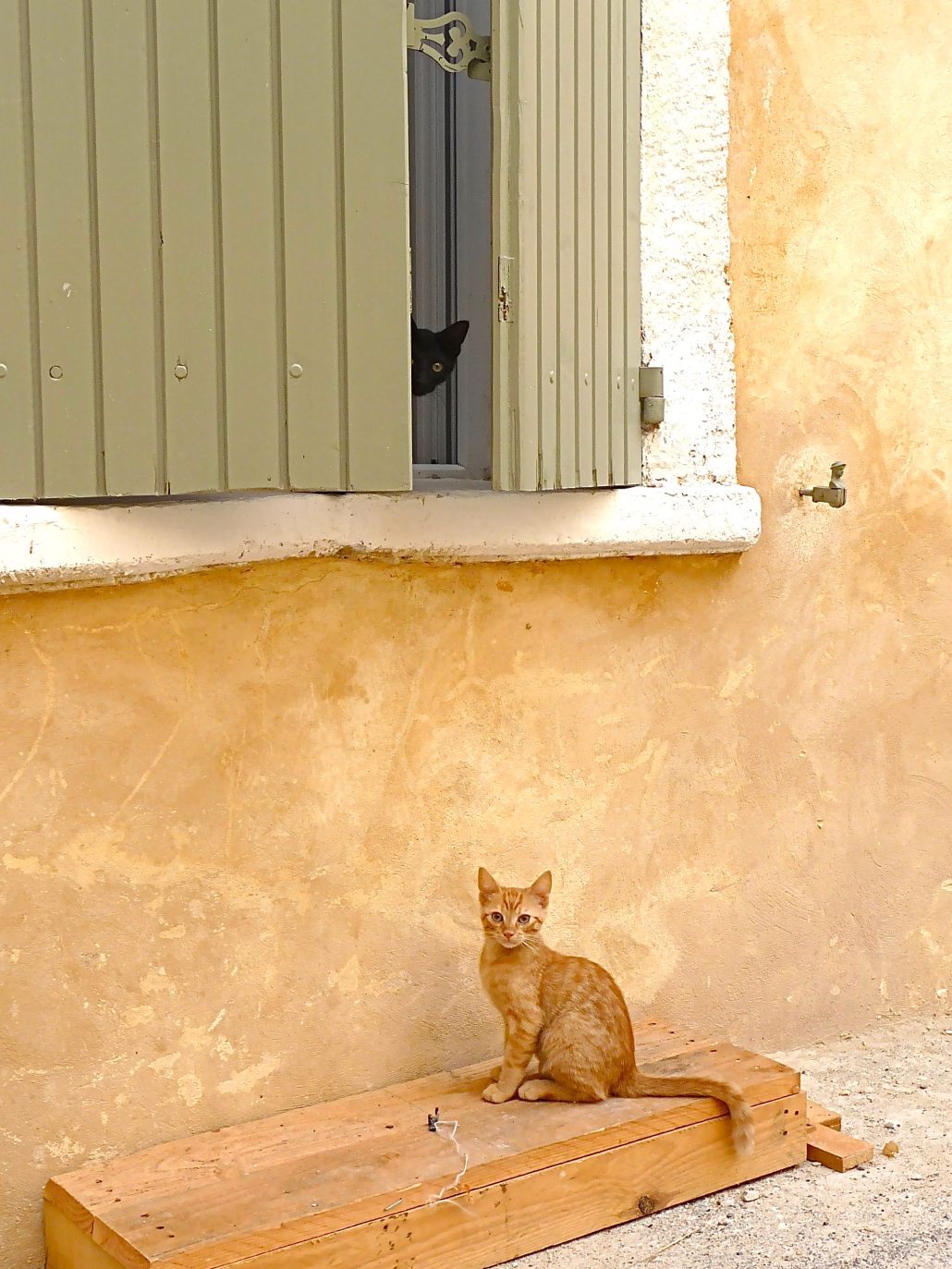 Les deux frères…