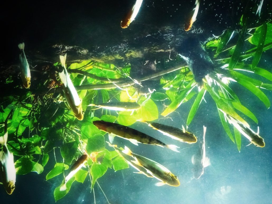 J’ai touché le fond…