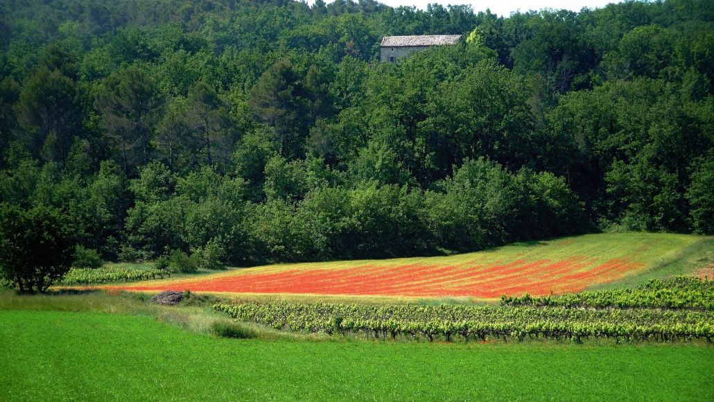 Une touche de rouge…