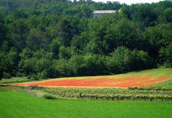 Une touche de rouge…