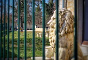 Drame au zoo…