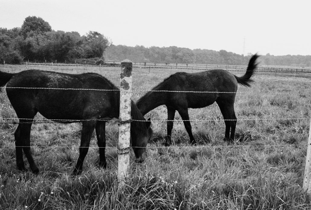 En promenade…