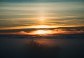 L’arbre dans les nuages.