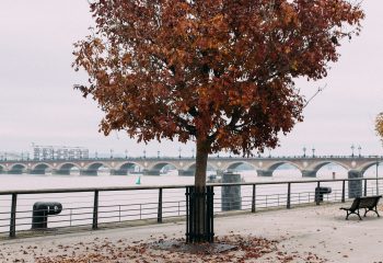 Bordeaux en automne