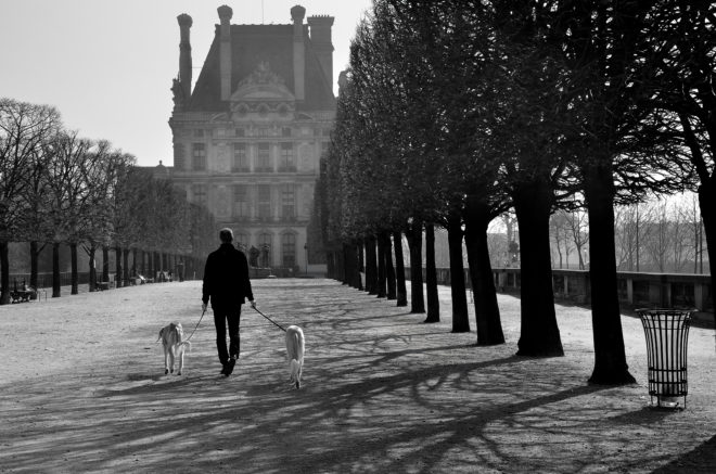 Monsieur promène ses chiens