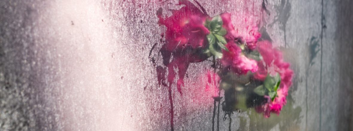 Prix Virginia - Cig Harvey