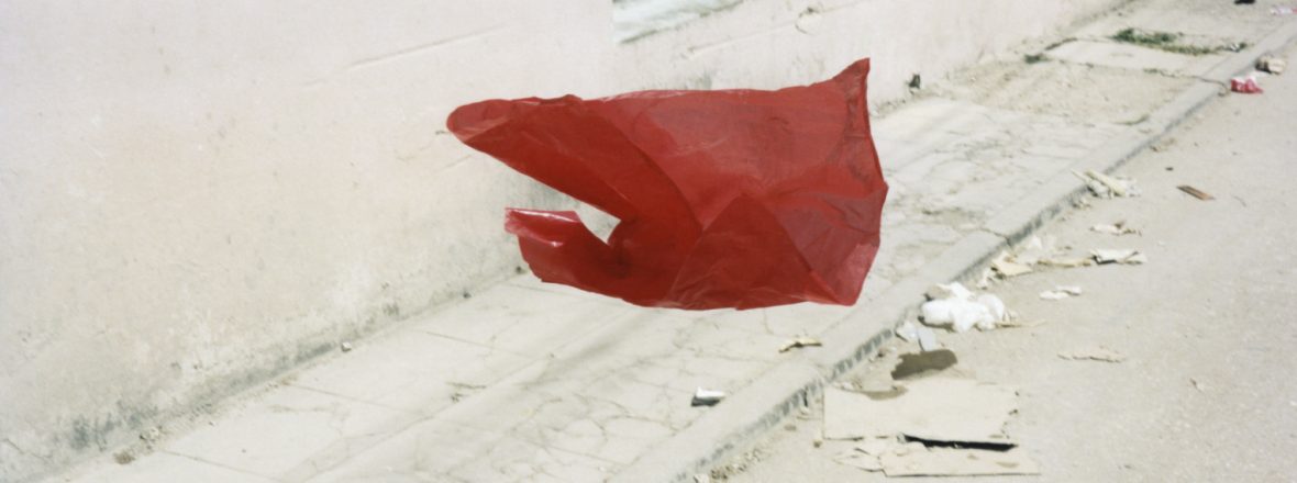 Vincent Delbrouck L'Etreinte du Monde