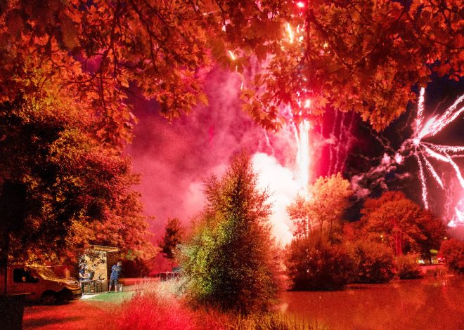 La France sous leurs yeux / BnF | François Mitterrand