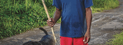 Les Photaumnales - Couleurs pays