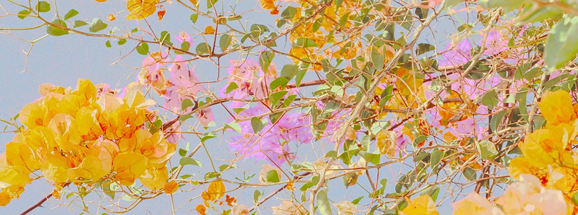 L’âge d’or - Letizia Le Fur