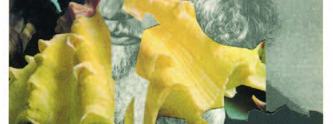 Barbara Breitenfellner au Centre Photographique d’Île-de-France