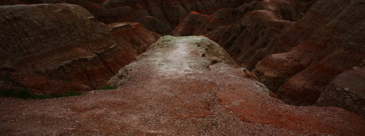 Cécile Hartmann - Le serpent noir