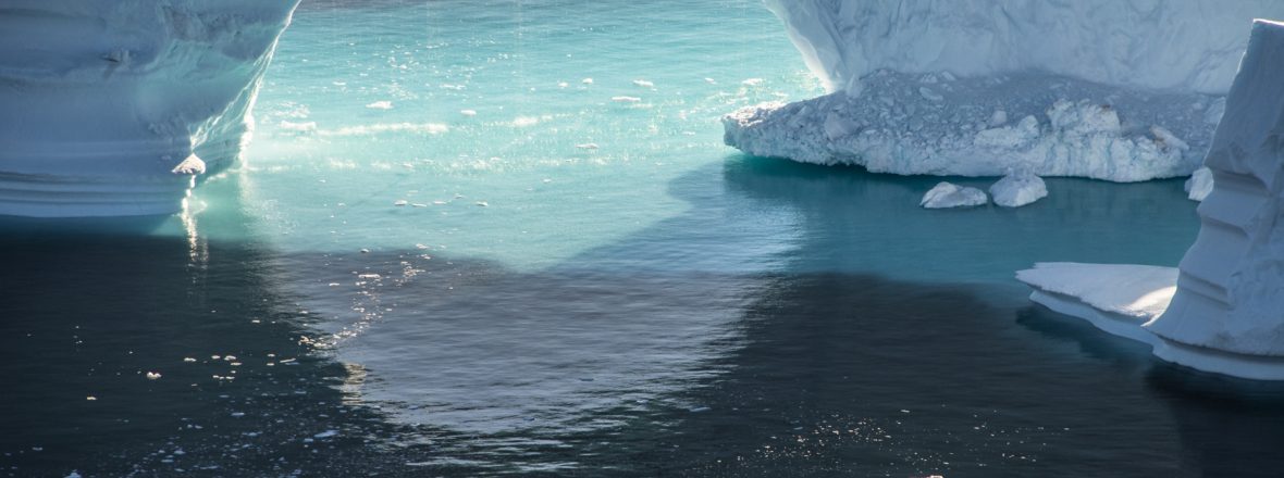 Diane Tuft : The Arctic Melt