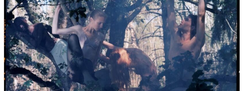 Des études sauvages - Elina Kechicheva