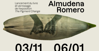 Almudena Romero - <i>The Pigment Change</i>