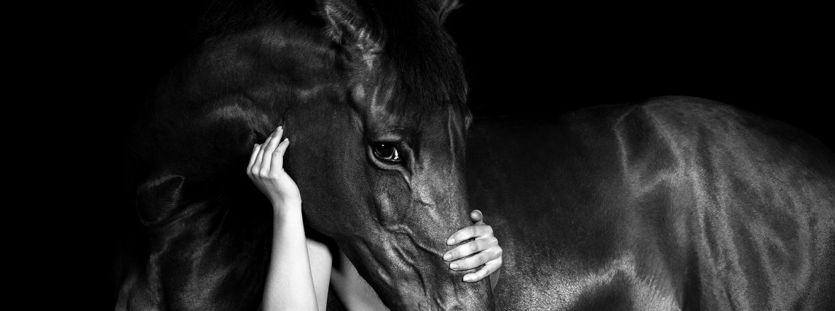 Festival Planche(s) Contact