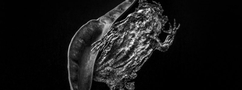 Josef Nadj - Mnémosyne