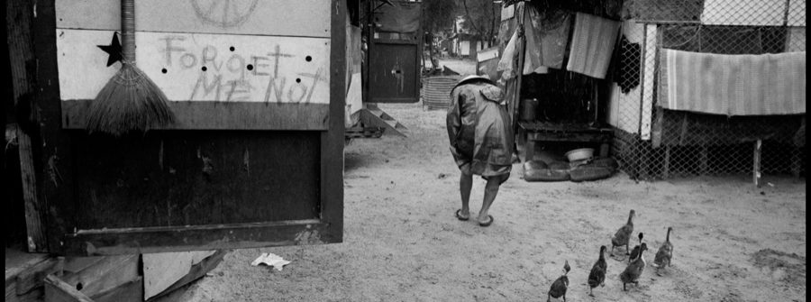 Abbas au Vietnam - Forget Me Not