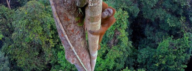 Festival de la Photo Animalière - Montier