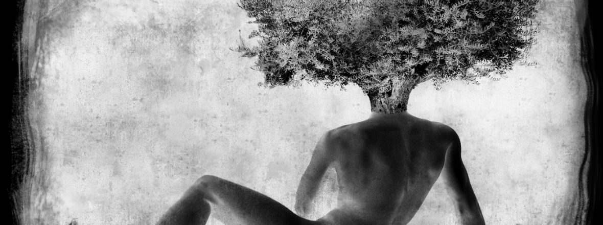 Hommes Nature - Daniel Nassoy