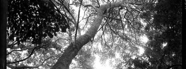 Dans les rayons de lumière obliques -