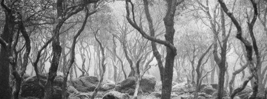 La Sardaigne - Luca Spano