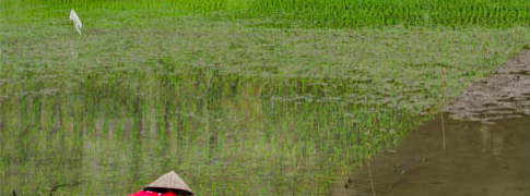 Mégaclics - Exposition 2019