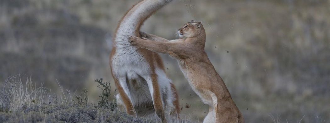 Photographes de nature