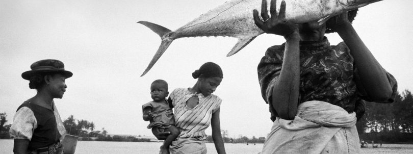 Pierrot Men à PhotoSaintGermain