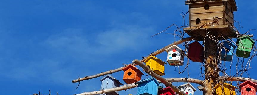 UNICEF & REZA - Rêves d'avenir