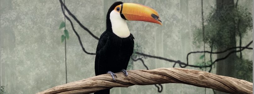 SAISON PHOTOGRAPHIQUE DE L’ABBAYE ROYALE DE L’EPAU