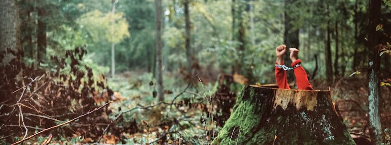 Le chant du cygne - Andrea Olga Mantovani